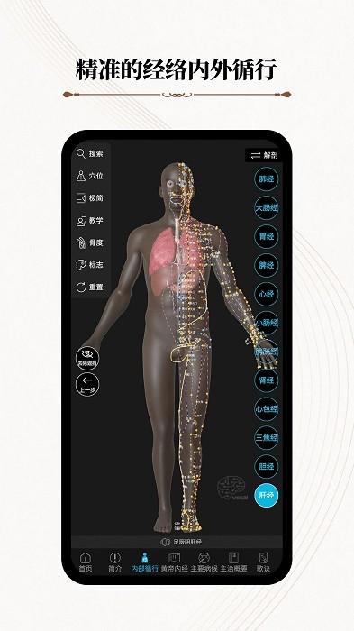 中医经络腧穴app(改名针灸大师)下载,中医经络腧穴,医学app,穴位app