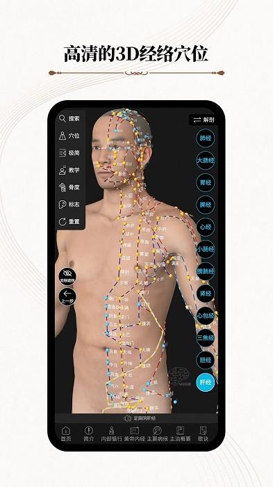 中医经络腧穴app(改名针灸大师)下载,中医经络腧穴,医学app,穴位app