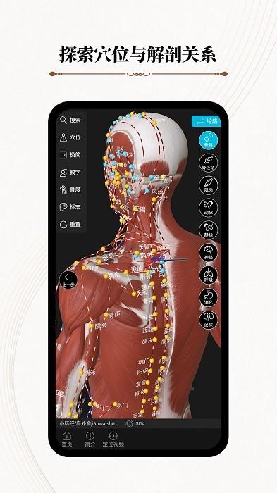 中医经络腧穴app(改名针灸大师)下载,中医经络腧穴,医学app,穴位app