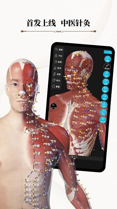 中医经络腧穴app(改名针灸大师)下载,中医经络腧穴,医学app,穴位app